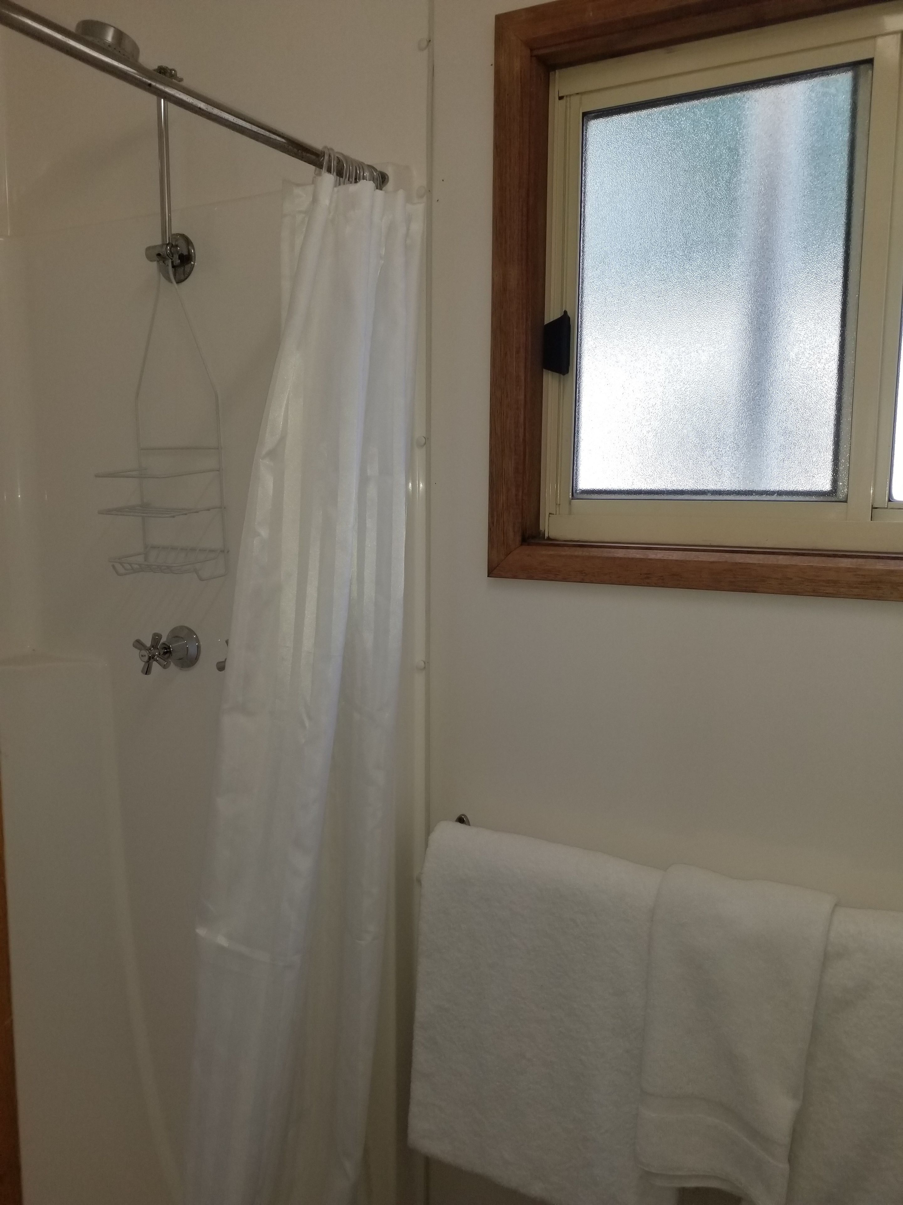A bathroom with a shower, a window, and a towel rack.