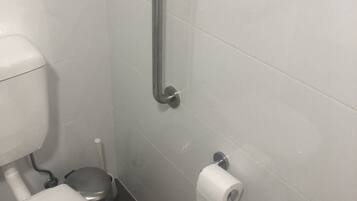 A bathroom with a white toilet, a grab bar, and a toilet paper holder on the wall.