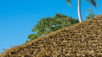 Serveert ontbijt, lunch, diner, internationale gerechten