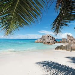 On the beach, white sand