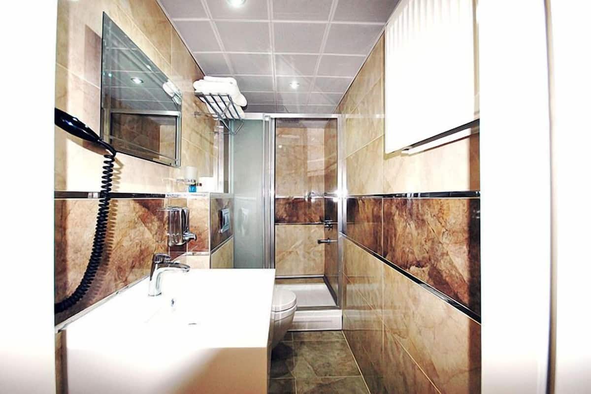 shower, free toiletries, hair dryer, slippers