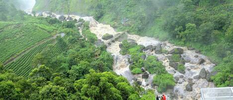 A lush green landscape with a waterfall, terraced fields, and a pool area with people.
