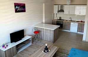 Suite, 1 Bedroom | Living area | LCD TV - Hayat Home Suite (Erzincan)