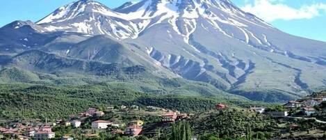 A mountain with snow-capped peaks and a town with red-roofed buildings at its base.