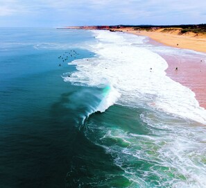 Beach nearby - Résidence du Parc (Soorts-Hossegor)