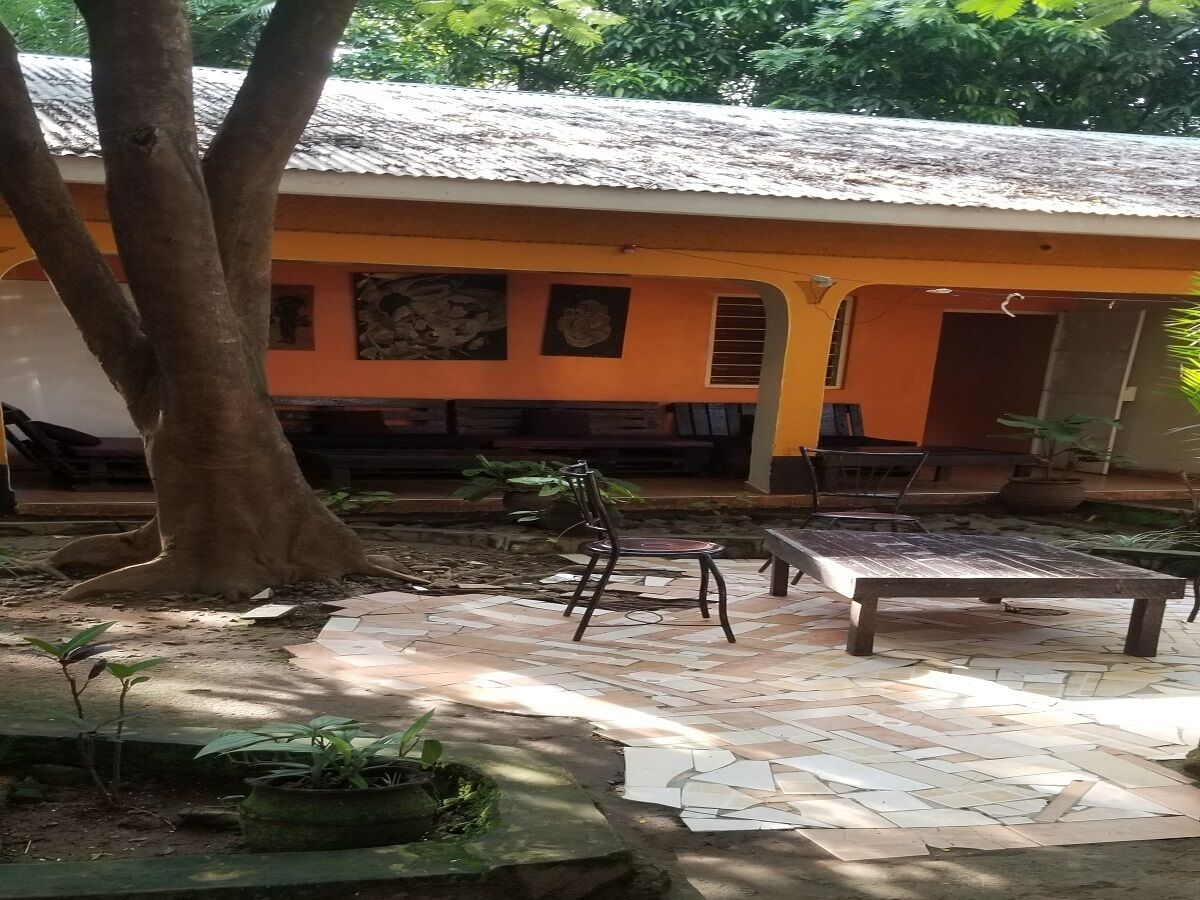A patio area with a wooden bench and a chair, surrounded by potted plants and a large tree.