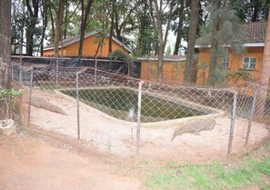 Exterior - Mountainview Backpackers Kisumu (Kisumu)