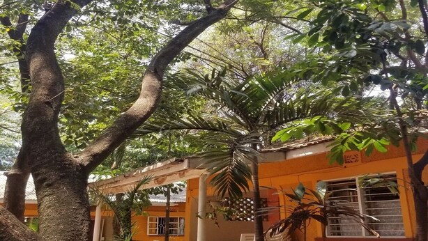 A building with a yellow facade, outdoor seating area, and a tree in the foreground. - Mountainview Backpackers Kisumu (Kisumu)