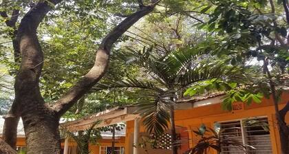 Mountainview Backpackers Kisumu