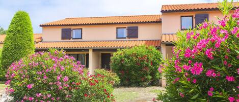 A residential building with a tiled roof, multiple windows, and lush greenery including flowering bushes.