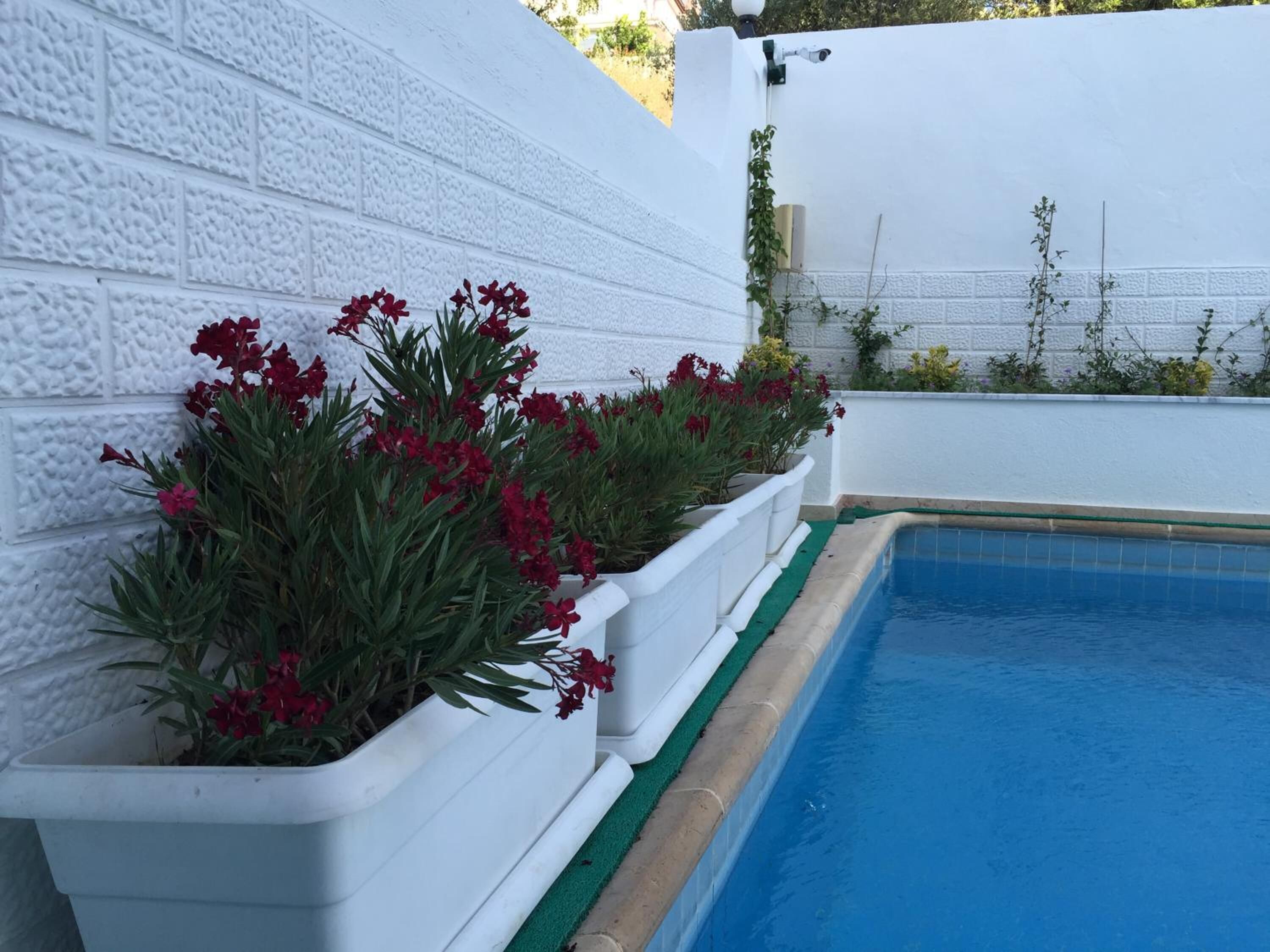 A poolside area with white textured walls and a blue pool.