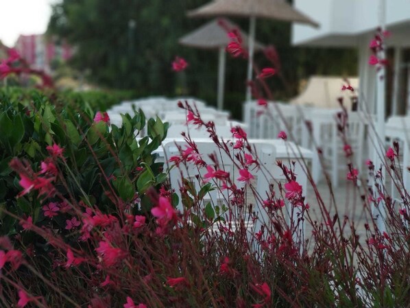 A row of white outdoor seating with umbrellas, surrounded by green foliage and pink flowers. - Cicek Apart Hotel (Cesme)