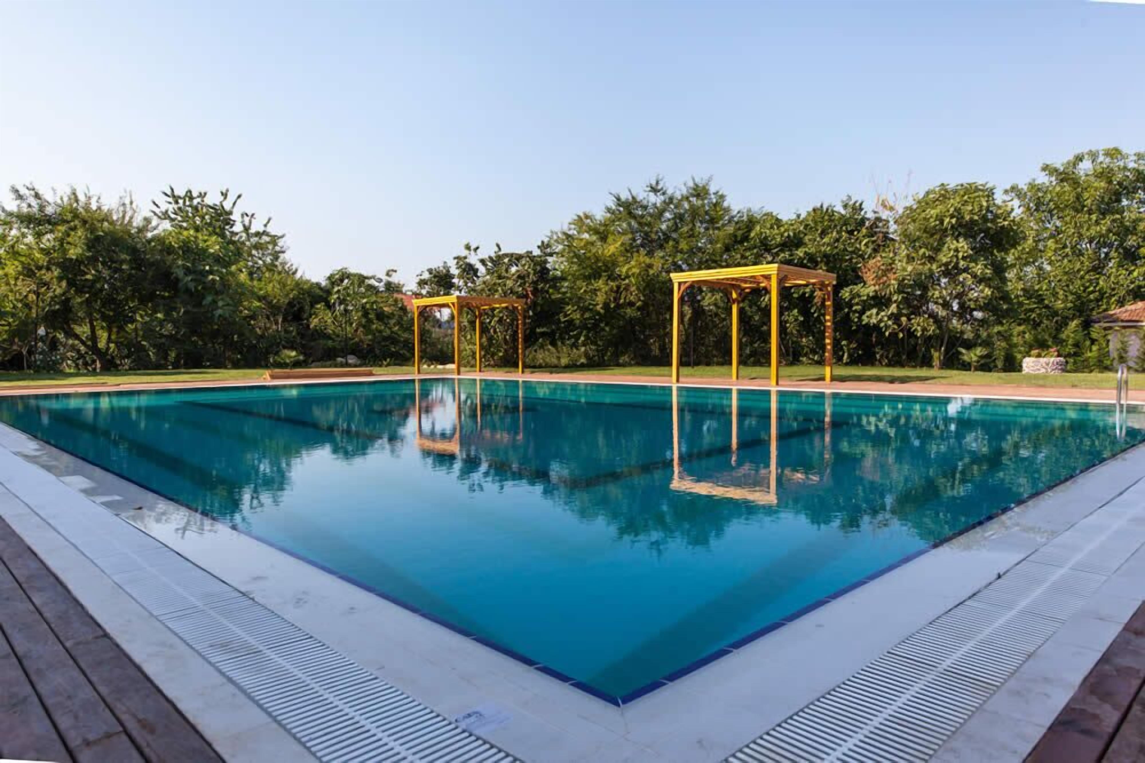 outdoor pool, pool umbrellas, pool loungers