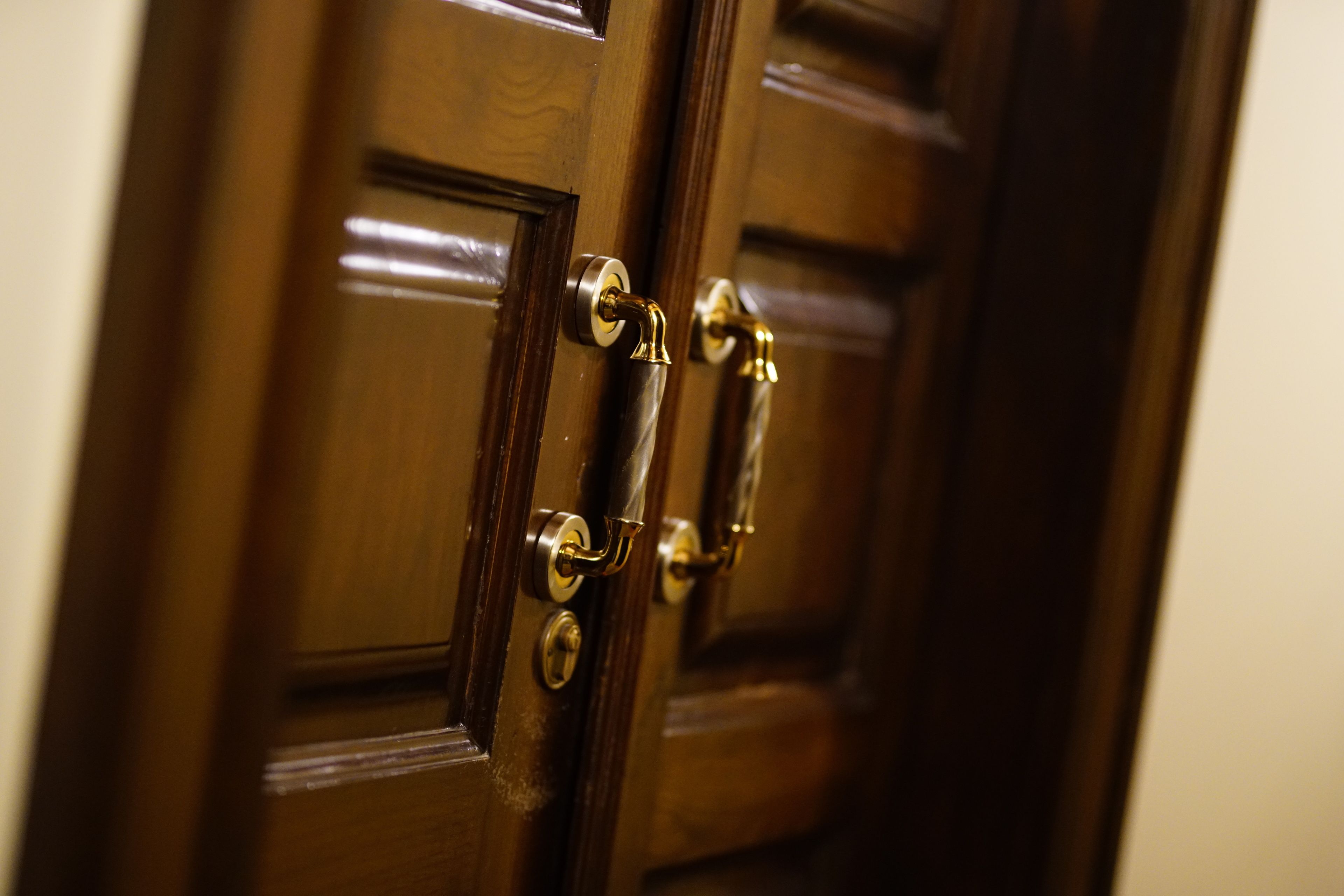 Una puerta de madera con un tirador de latón y una cerradura.