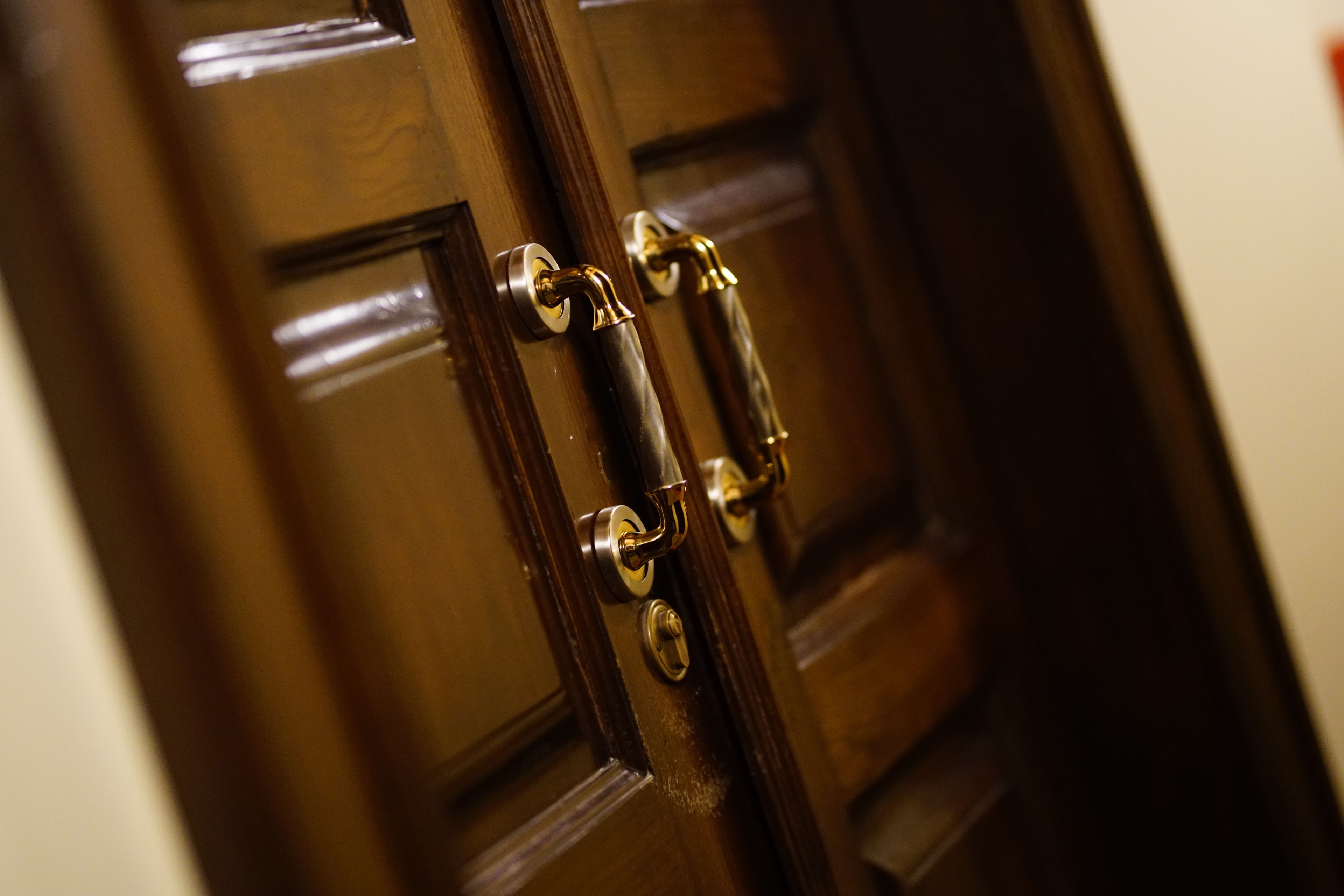 Una puerta de madera con un tirador de latón y una cerradura.