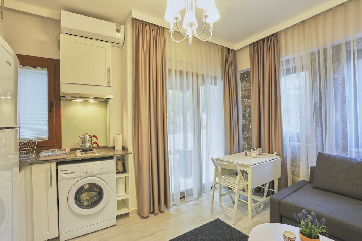 Appartement, vue jardin | Coin cuisine privé | Cafetière/bouilloire, grand réfrigérateur, plaque de cuisson