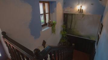 Una escalera con barandilla de madera, un ventanal con plantas y una pared con un mural y luces empotradas.