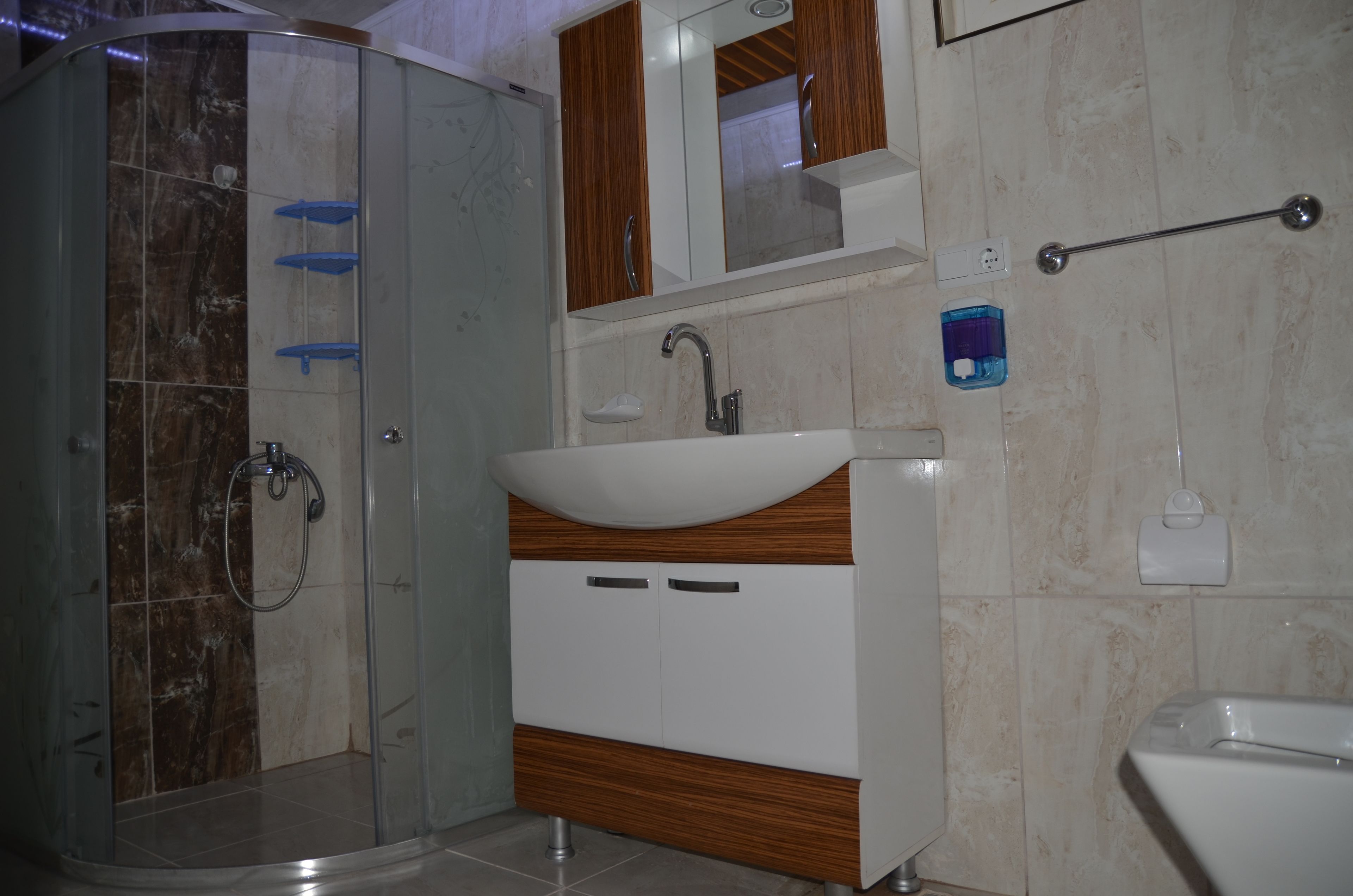 A bathroom with a glass shower enclosure, a sink with a wooden vanity, and a mirror above the sink.