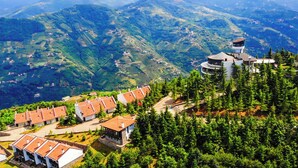Un paisaje montañoso con un conjunto de edificios con tejados rojos, rodeado de abundante vegetación y pinos.