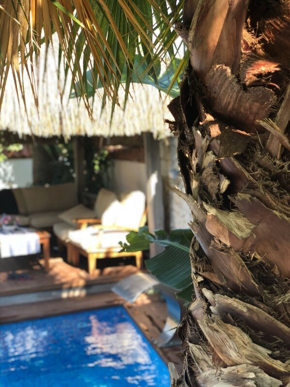 Terrace/patio - Cocopalm Boutique Hotel Alaçatı (Cesme)