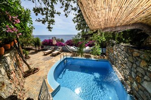 Suite with Private Garden and Private Pool | Teras/patio