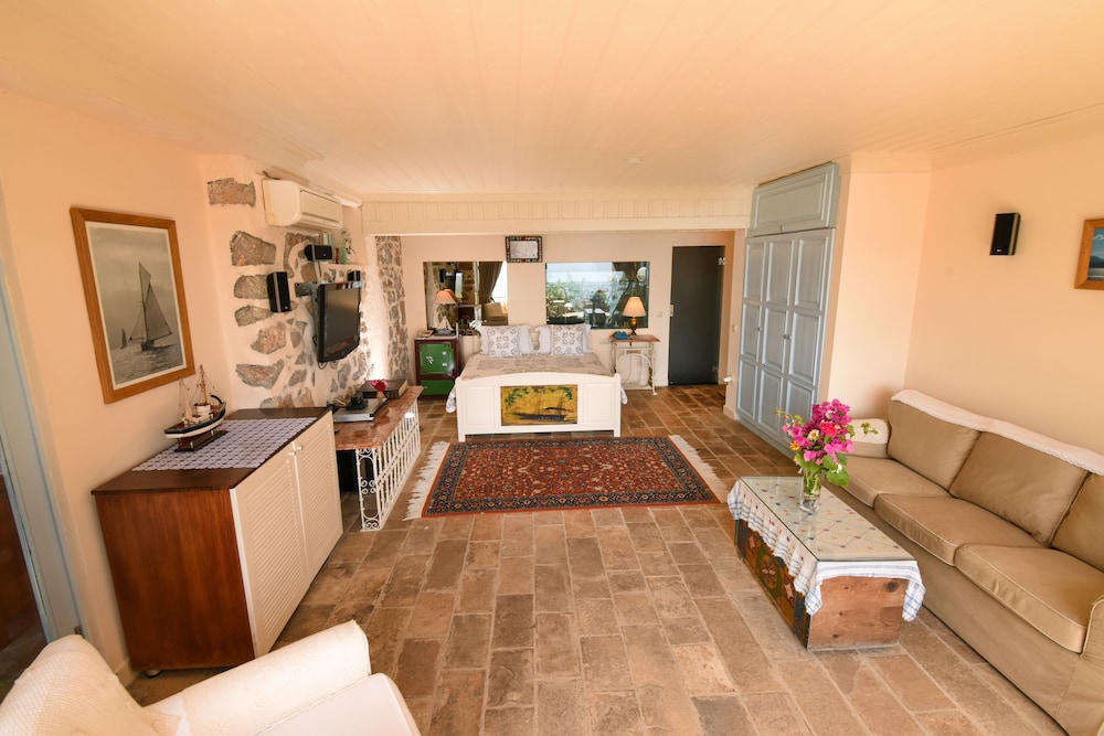 white Dolphin by null