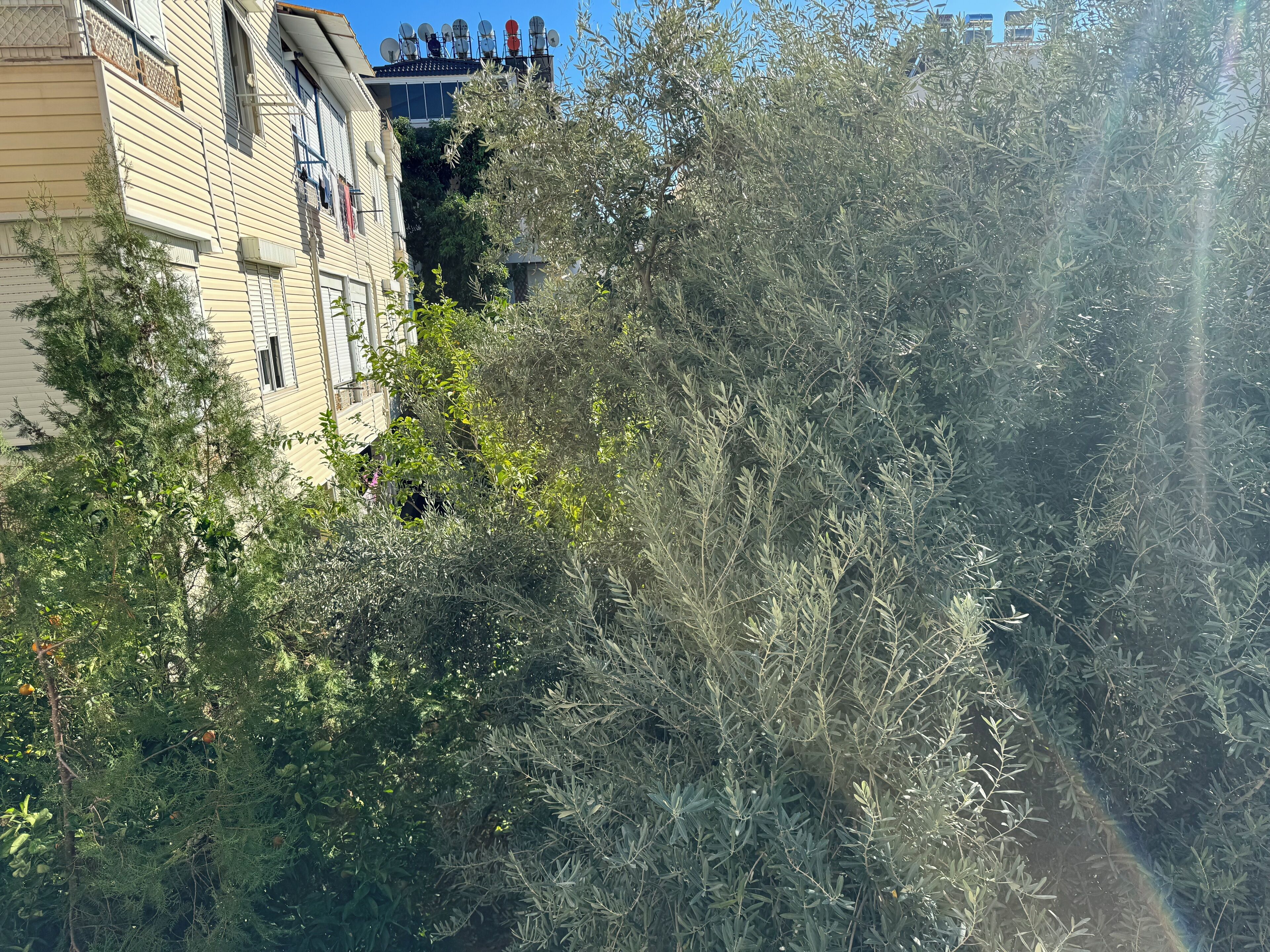 Photo - Send Apart Otel