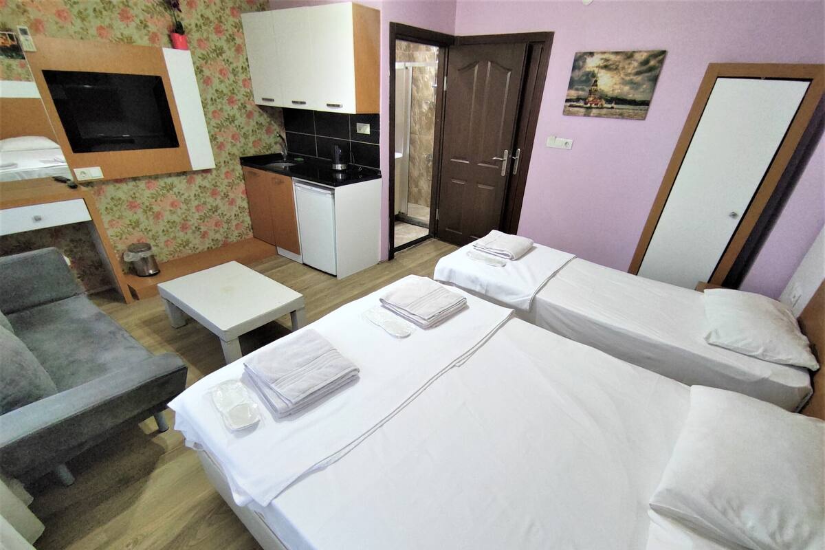 A room with two beds, a small kitchenette, a sofa, and a TV.
