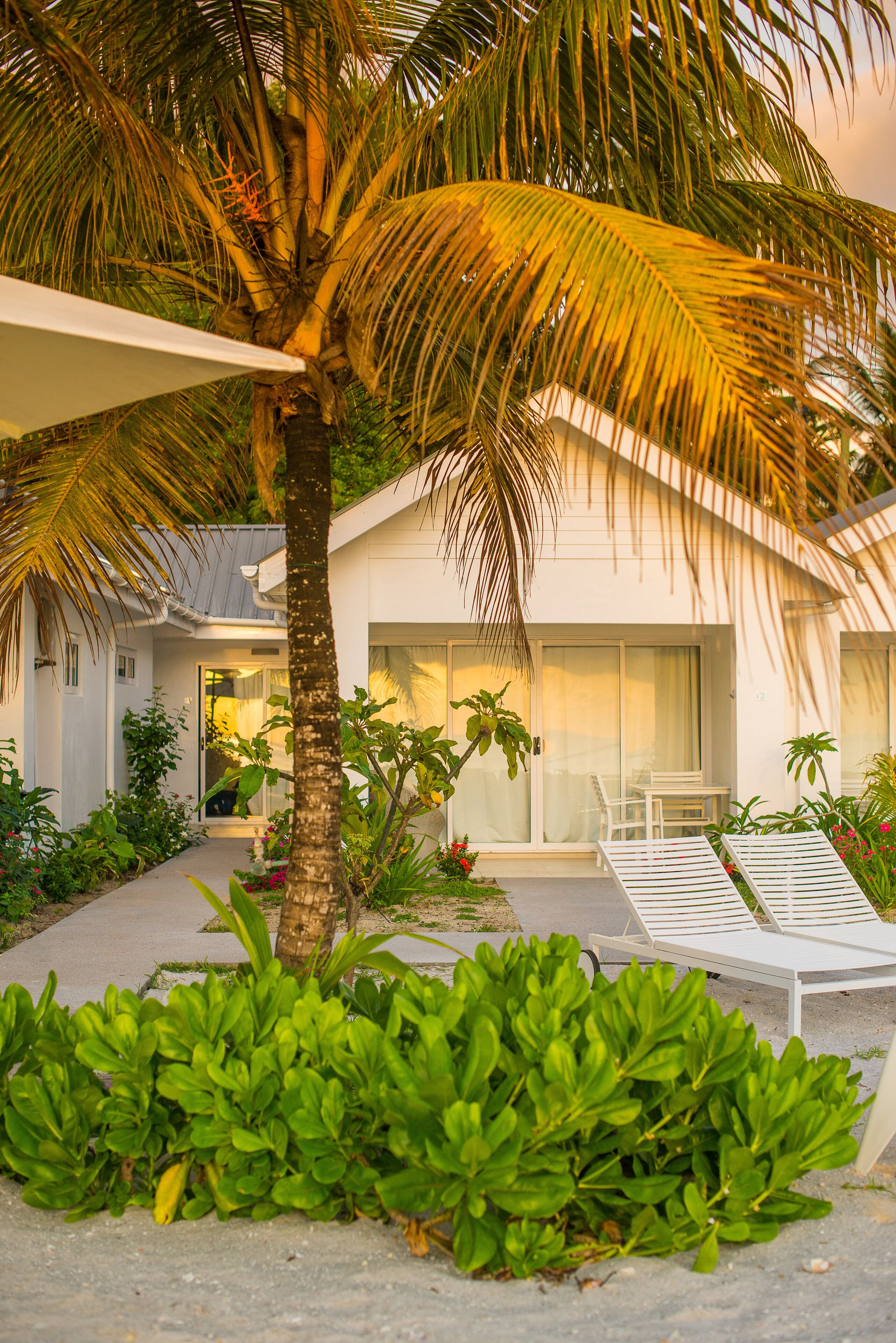 A modern building with a covered outdoor seating area, surrounded by lush greenery and a palm tree.