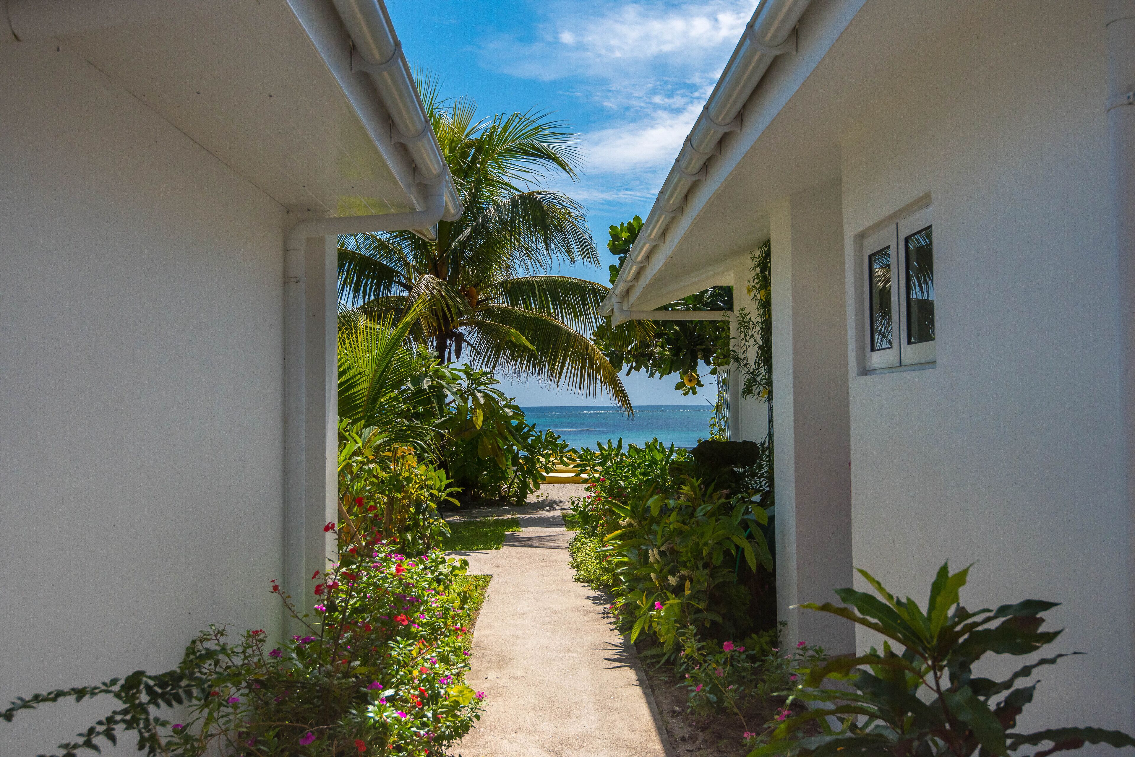 A pathway leading to a beach with a palm tree and a view of the ocean.