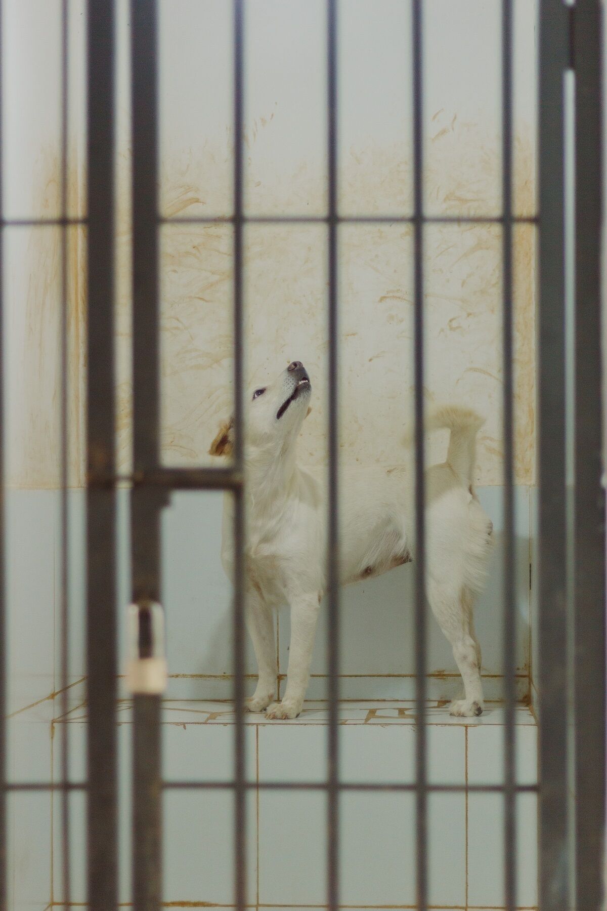 Foto - Urbanest Inn House TB Simatupang