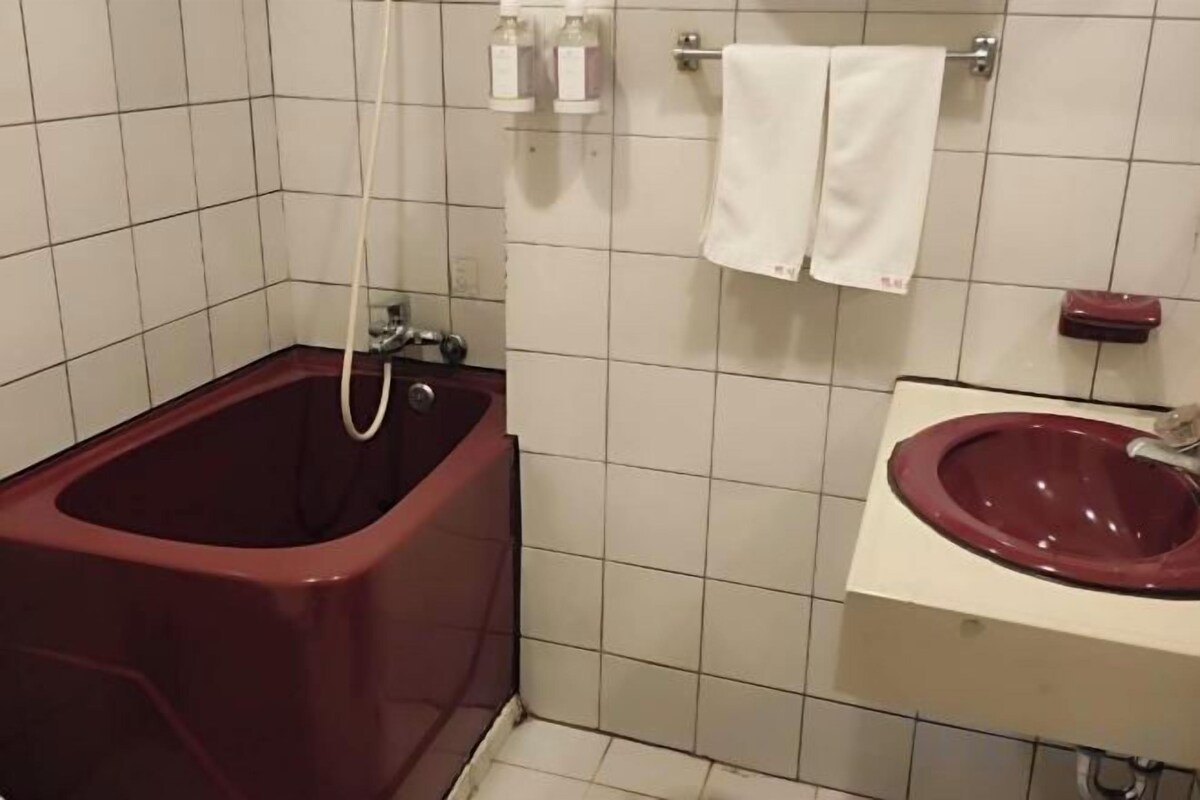 Bañera con ducha, artículos de tocador gratuitos, secador de pelo
