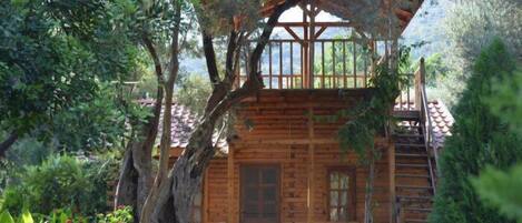 Decoración personalizada, muebles diferentes y escritorio