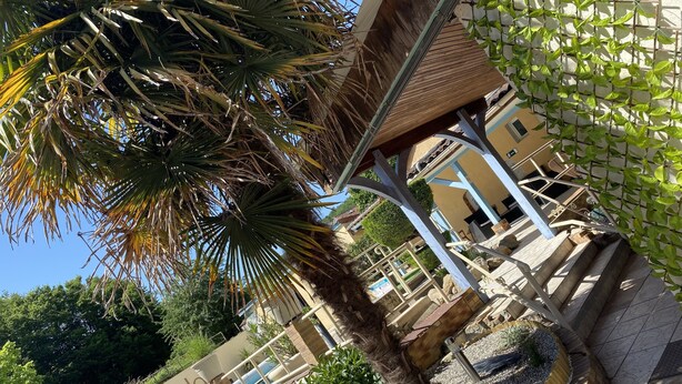 A poolside area with a palm tree, a pergola, and a view of a building with a pool. - Hôtel Le RELAX (Boulazac-Isle-Manoire)