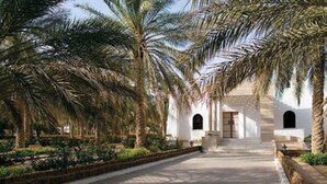 Un sendero bordeado de palmeras que conduce a un edificio con fachada blanca y puertas arqueadas.