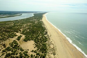 Luchtbeeld van een kustgebied met een zandstrand en dichte begroeiing.
