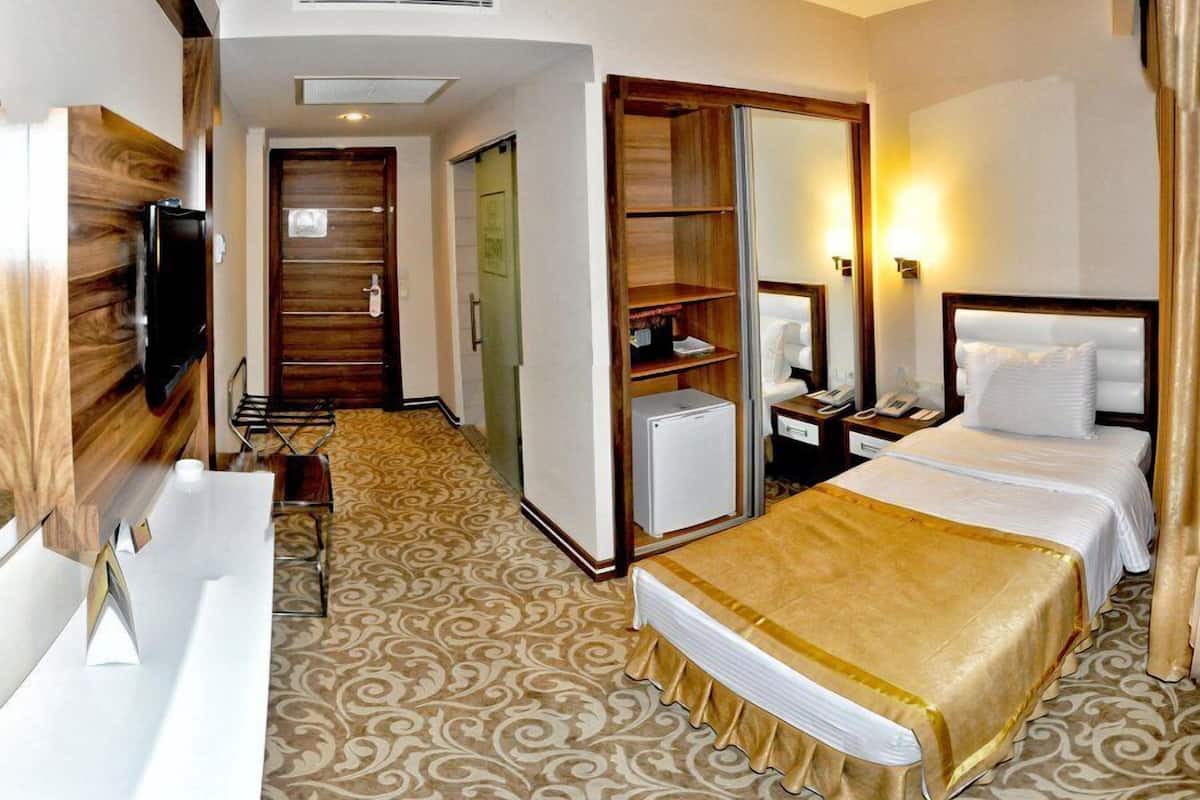 standard double or twin room | minibar, in-room safe, free wifi, wheelchair access