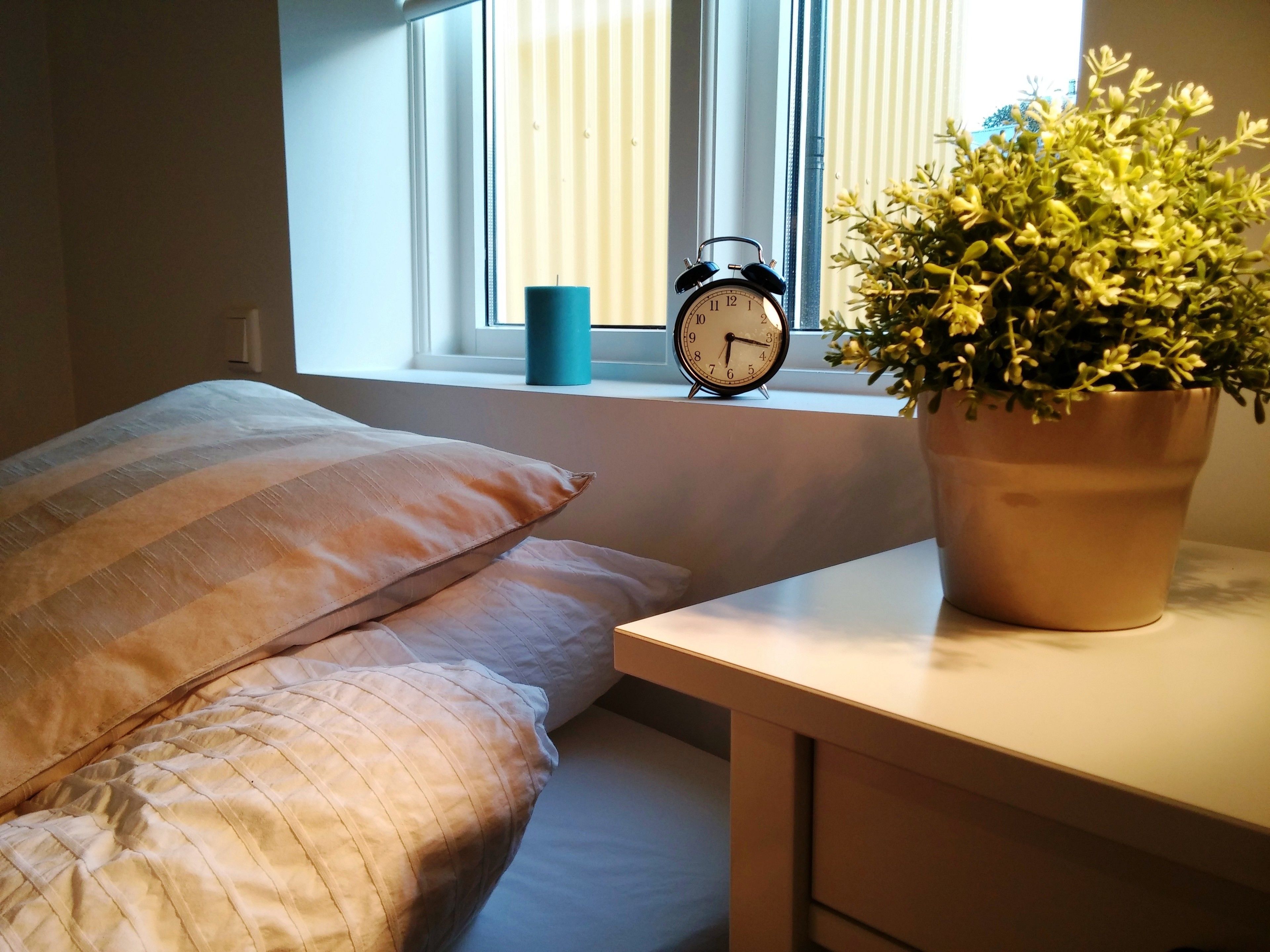 Et soveværelse med seng, sengebord, en potteplante og et vægmonteret vækkeur.