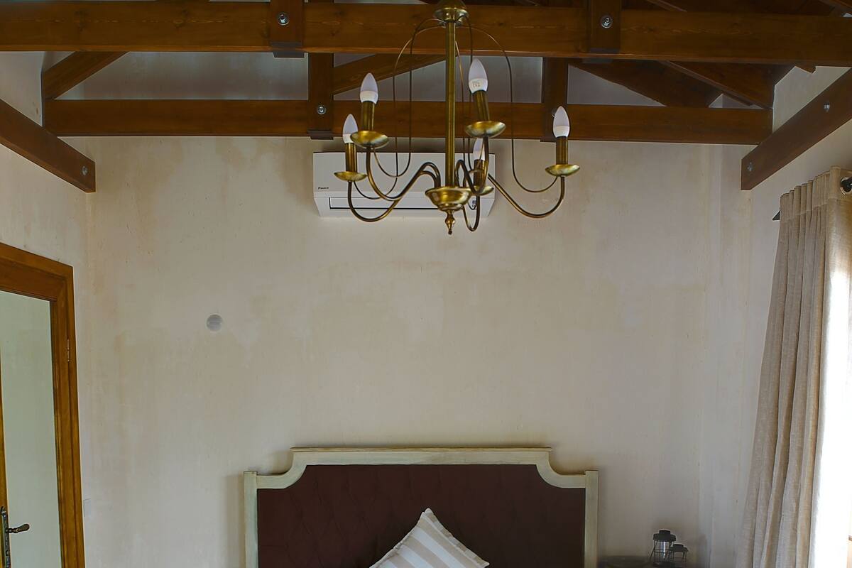 A bedroom with a wooden bed, a chandelier, a nightstand, and a patterned rug.