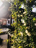 Deluxe Δίκλινο Δωμάτιο (Double), Θέα στο Λόφο | Θέα από το δωμάτιο