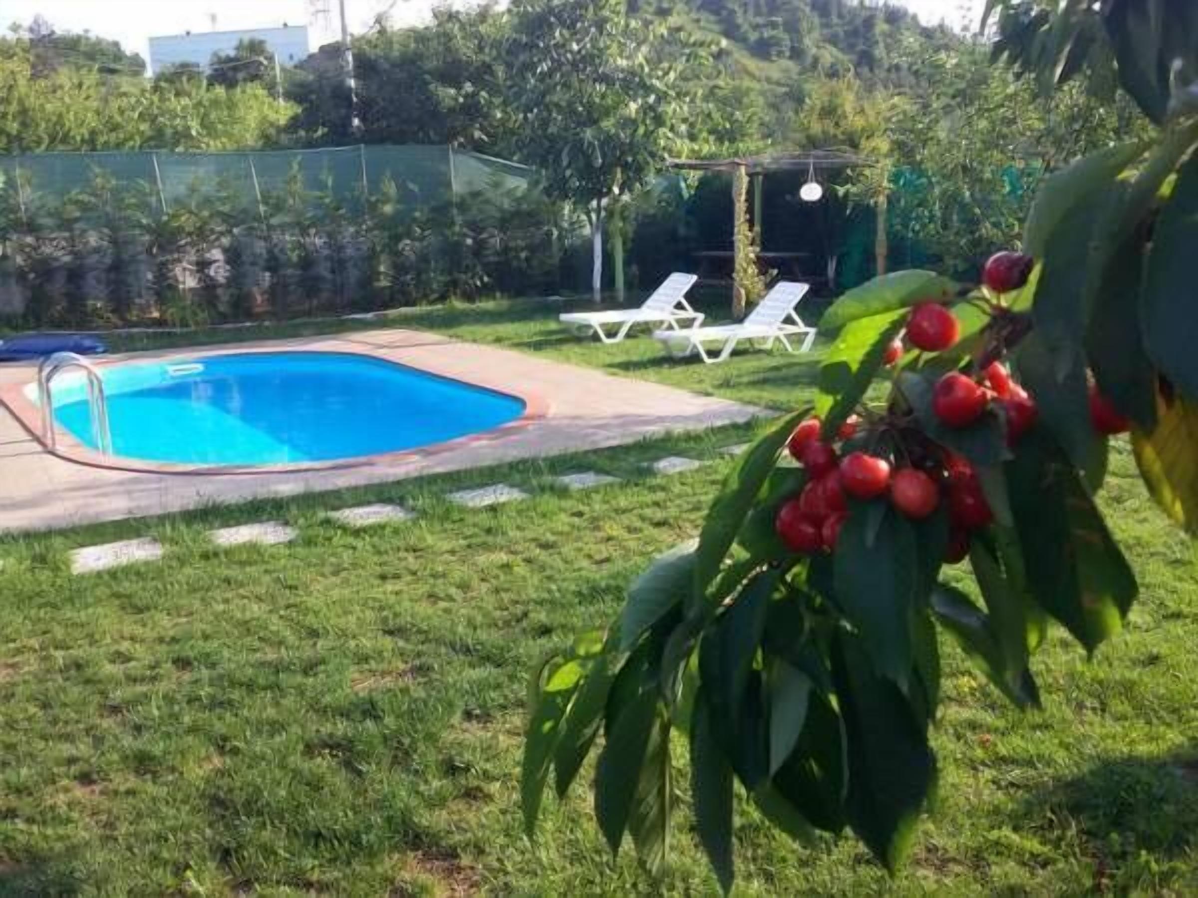 Outdoor pool, pool umbrellas, pool loungers