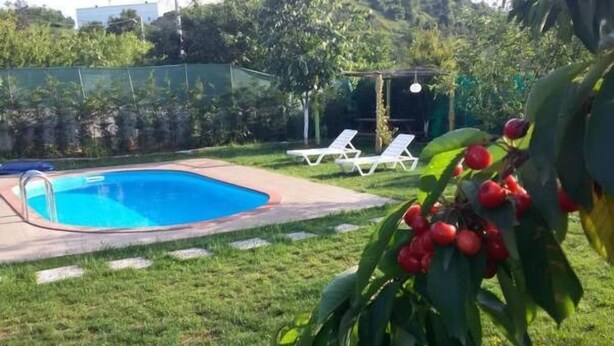 Outdoor pool, pool umbrellas, pool loungers - Yıldız Family Village House (Sapanca)