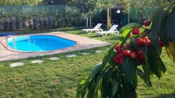 Outdoor pool, pool umbrellas, pool loungers