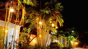 Vista nocturna de un hotel con patio empedrado, palmeras y luces colgantes.