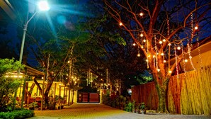 Un sendero bordeado de árboles decorados con luces de cuerda, que conduce a un edificio con cerca de madera.