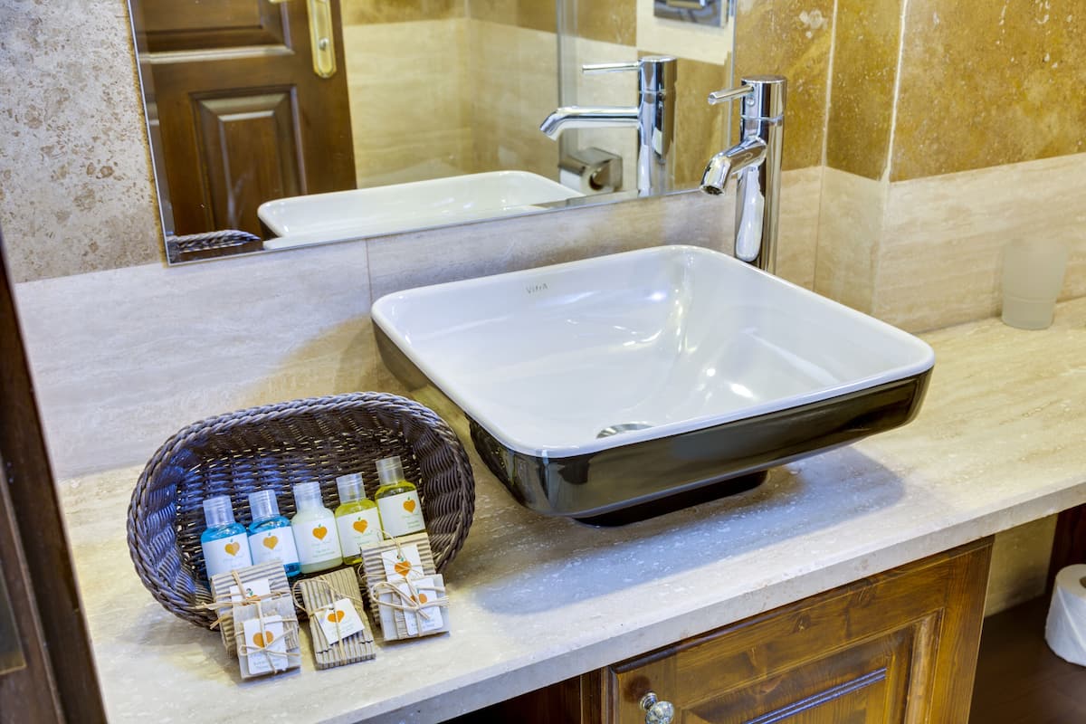 shower, free toiletries, hair dryer, slippers