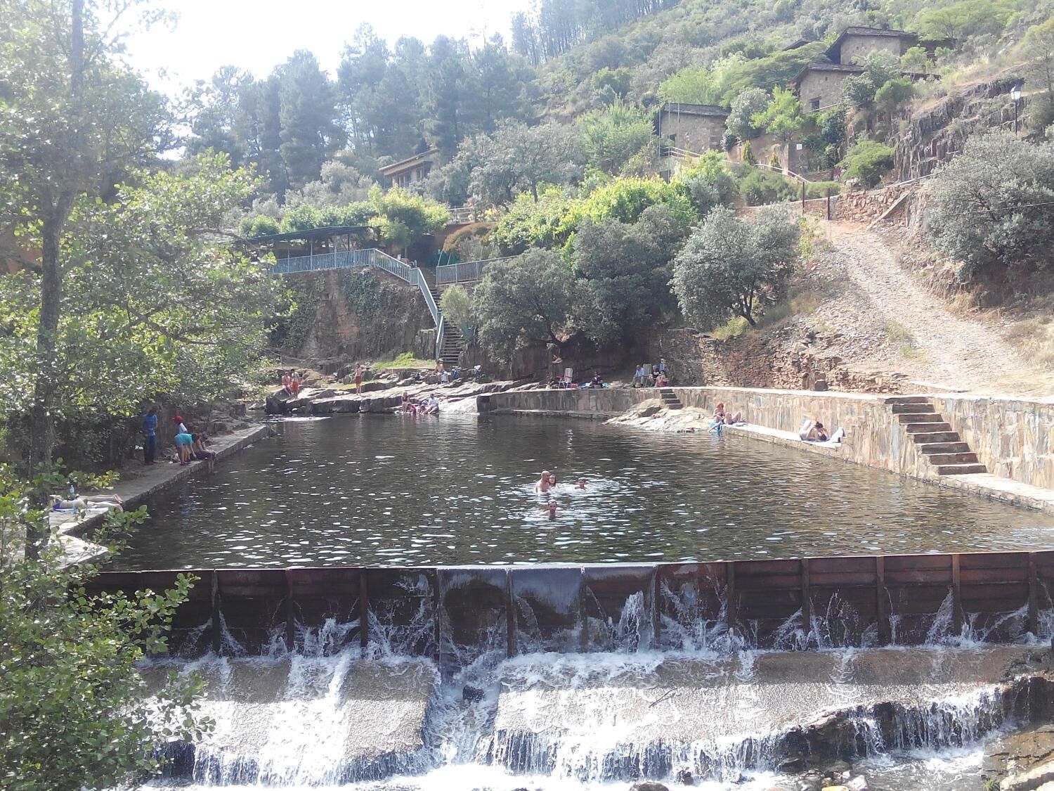 Una piscina natural con cascada, rodeada de árboles y una escalera de piedra.