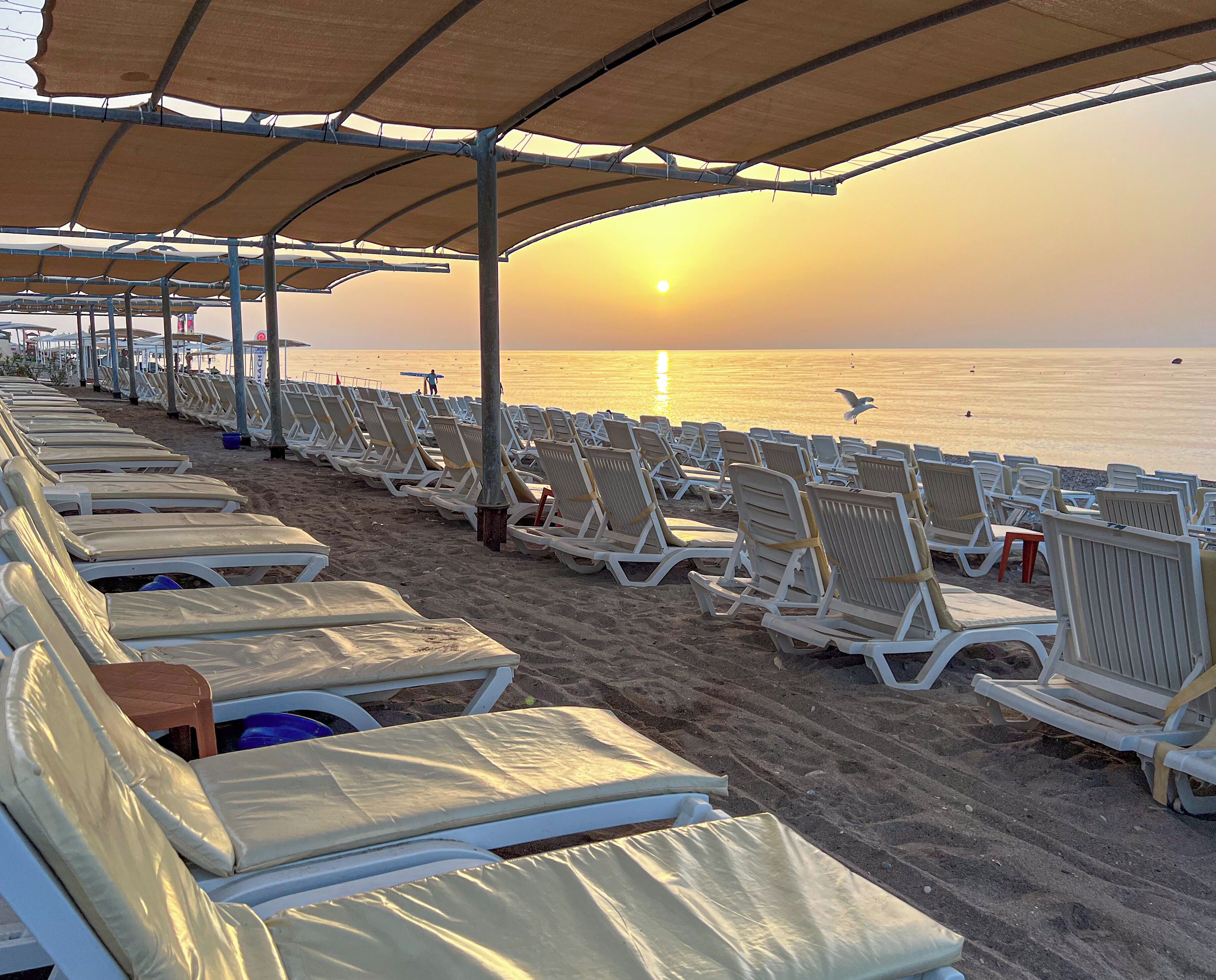 A beachside lounge with rows of sun loungers under a canopy, overlooking the sea.
