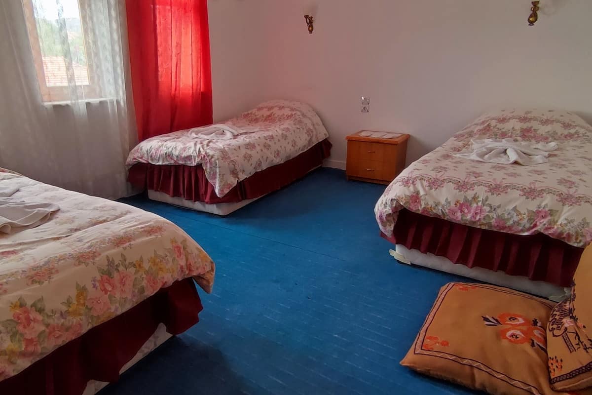 PENSION-3 Single Beds(WC&Bathroom Outside) | セーフティボックス (室内)、デスク、アイロン / アイロン台、WiFi (無料)