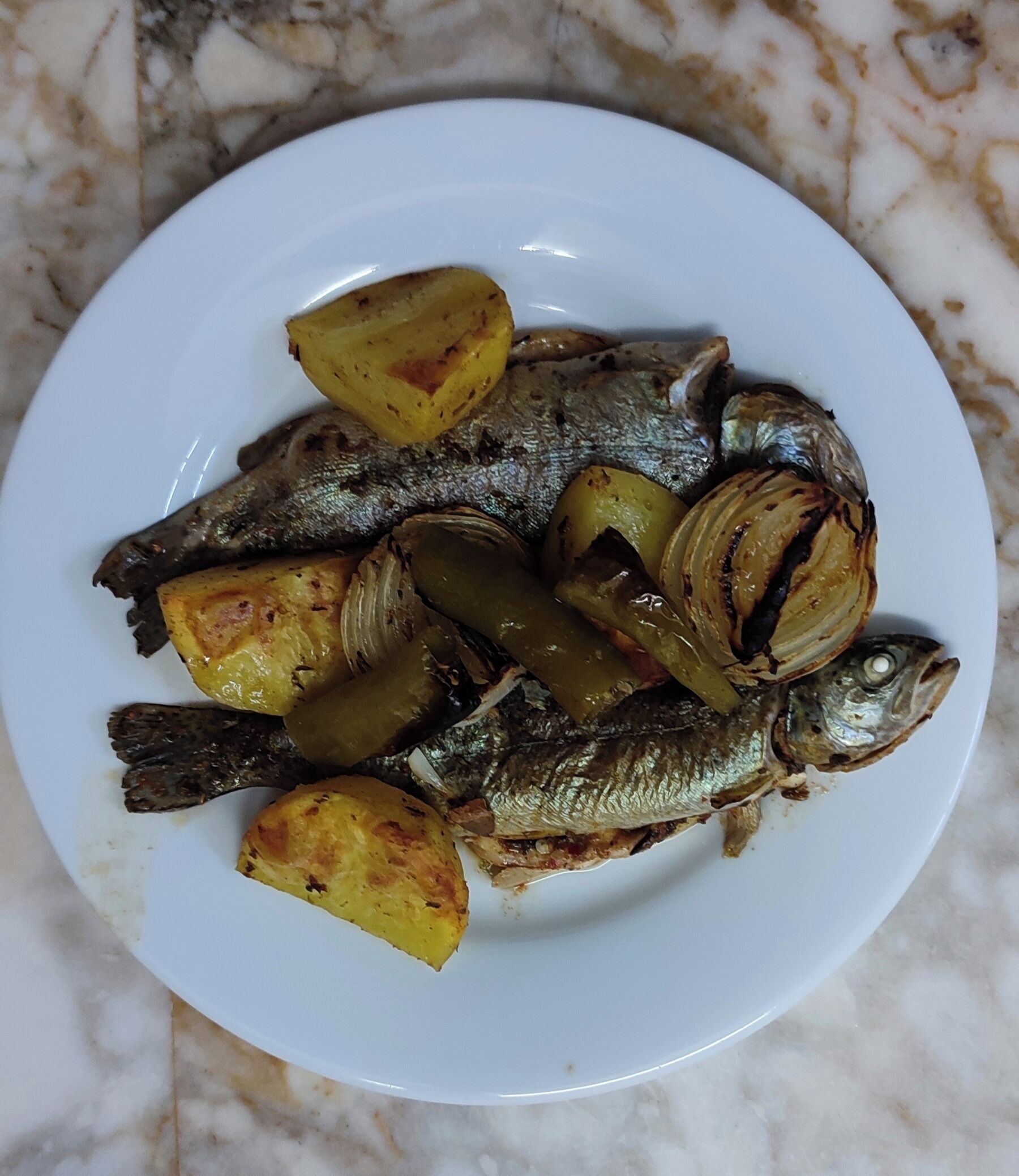 A white plate with grilled fish and roasted potatoes.